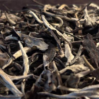AlterChá — a tea collection for working with the state of mind and body